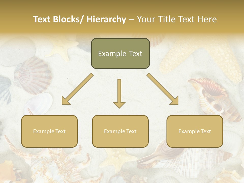 Copy Season Space PowerPoint Template