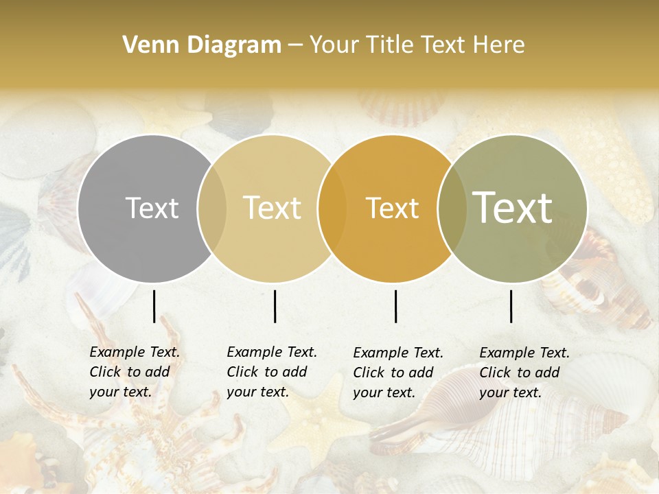 Copy Season Space PowerPoint Template