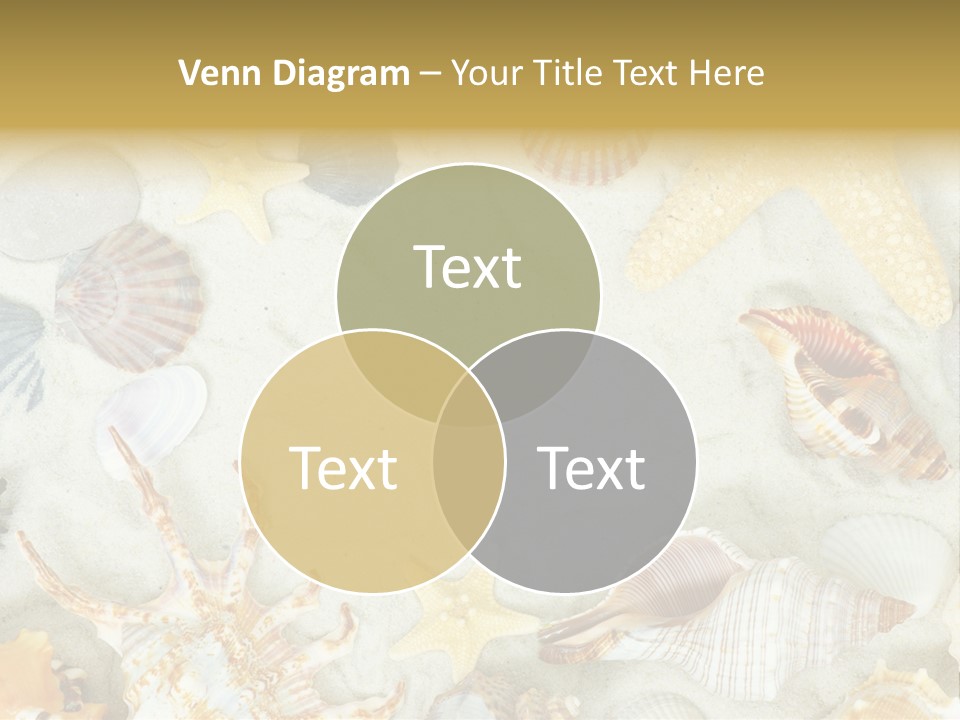 Copy Season Space PowerPoint Template