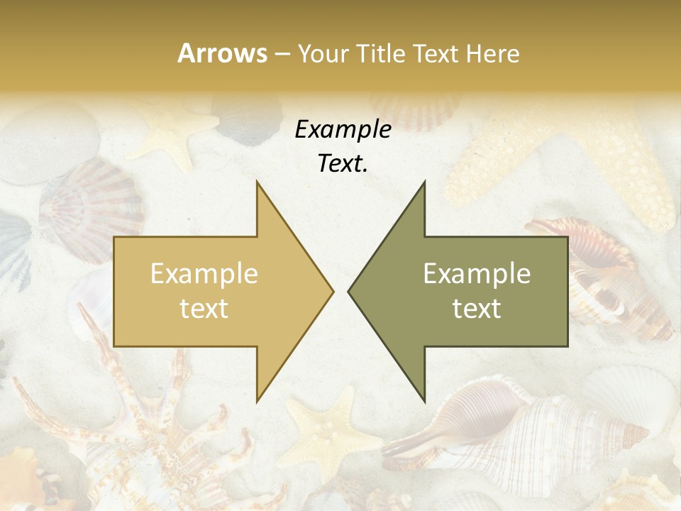 Copy Season Space PowerPoint Template