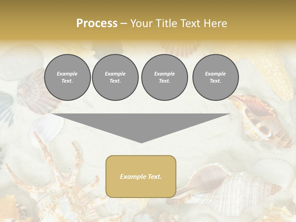 Copy Season Space PowerPoint Template