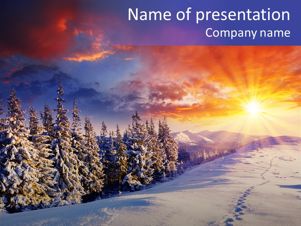 Park Tree Snowy PowerPoint Template