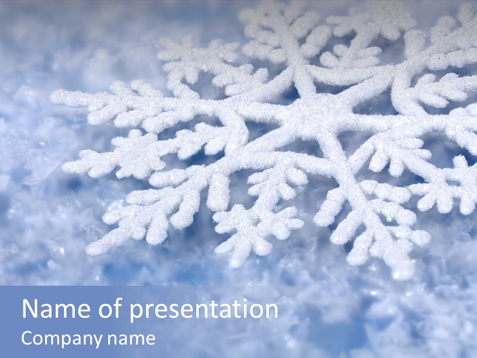 Winter Fake Celebration PowerPoint Template