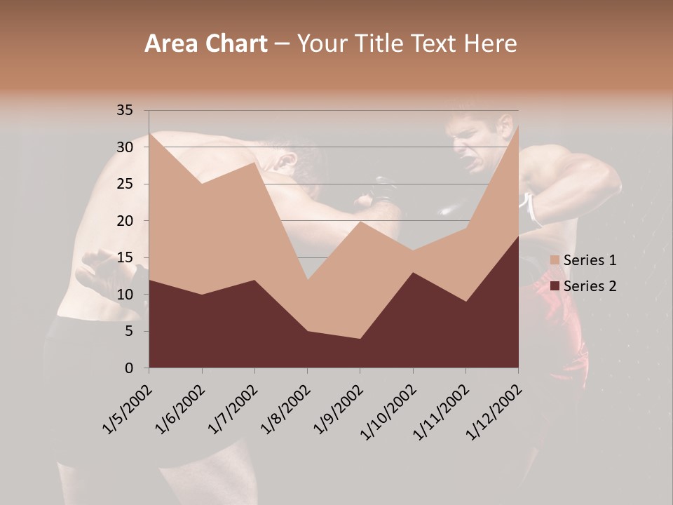 Combat Martial Artist Two PowerPoint Template