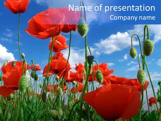 Bud Petal Farm PowerPoint Template