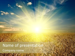 Cloudscape Field Ear PowerPoint Template