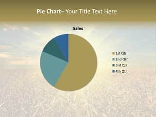 Cloudscape Field Ear PowerPoint Template