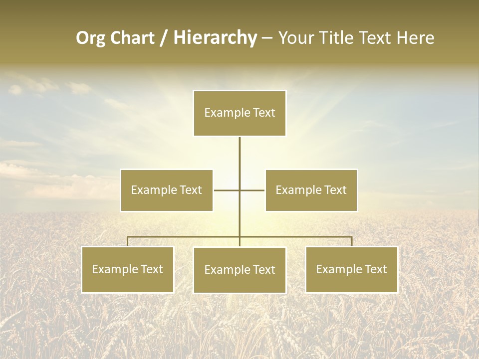 Cloudscape Field Ear PowerPoint Template
