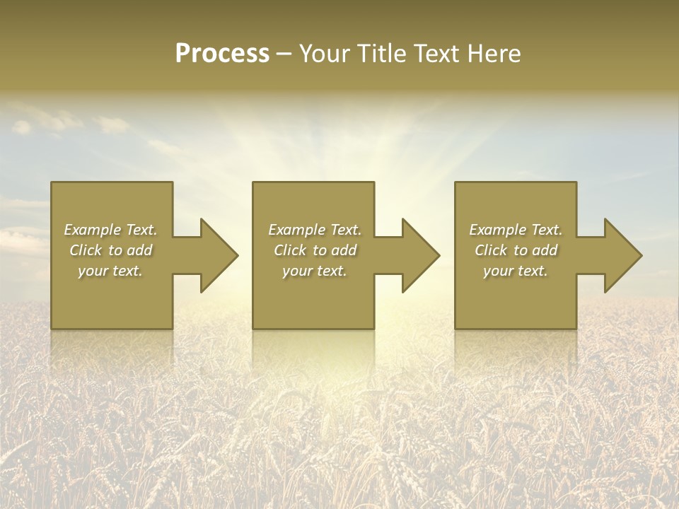 Cloudscape Field Ear PowerPoint Template
