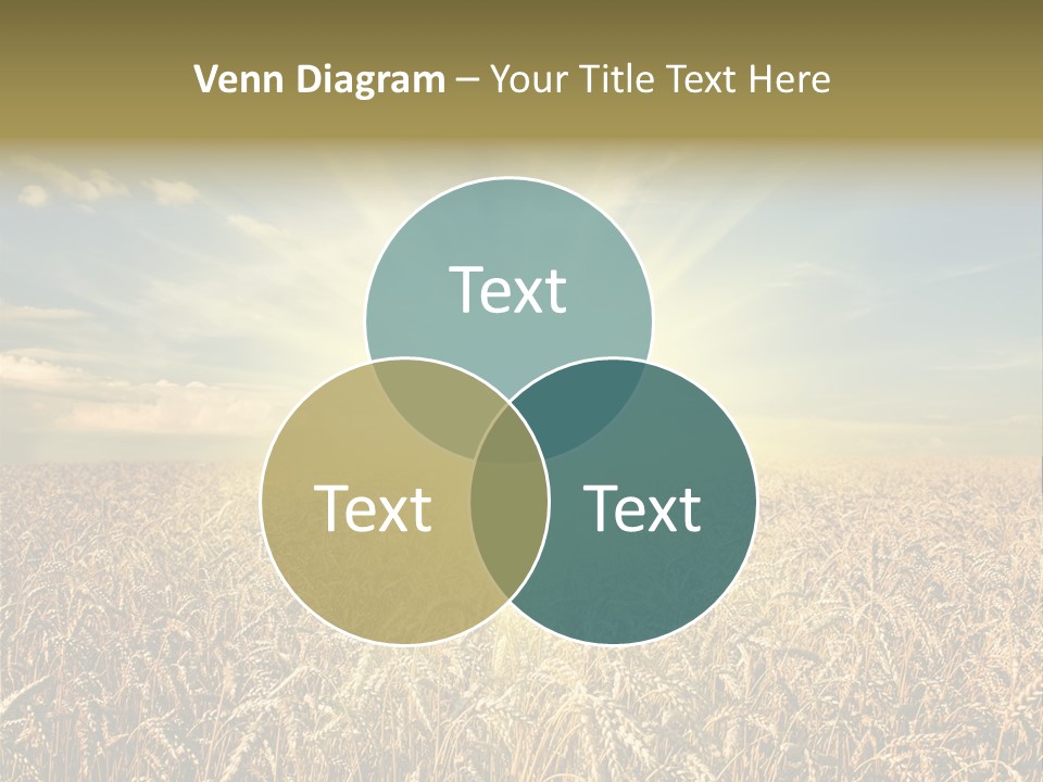 Cloudscape Field Ear PowerPoint Template