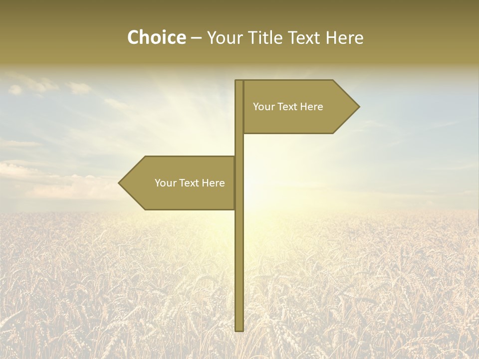 Cloudscape Field Ear PowerPoint Template