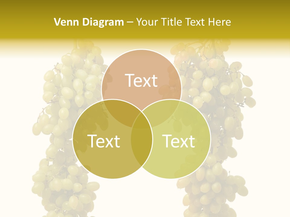 Sappy Food Product PowerPoint Template