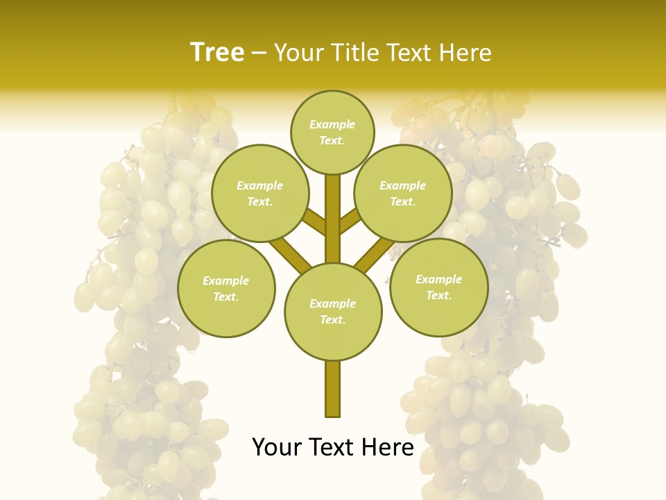 Sappy Food Product PowerPoint Template