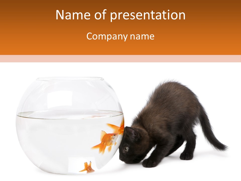 Bowl Feline Mammal PowerPoint Template