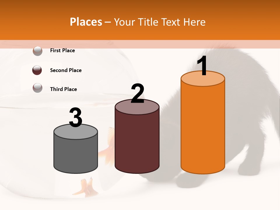 Bowl Feline Mammal PowerPoint Template