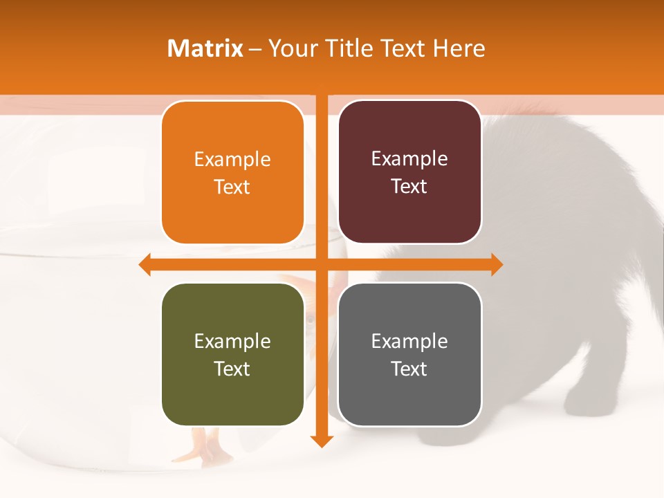 Bowl Feline Mammal PowerPoint Template
