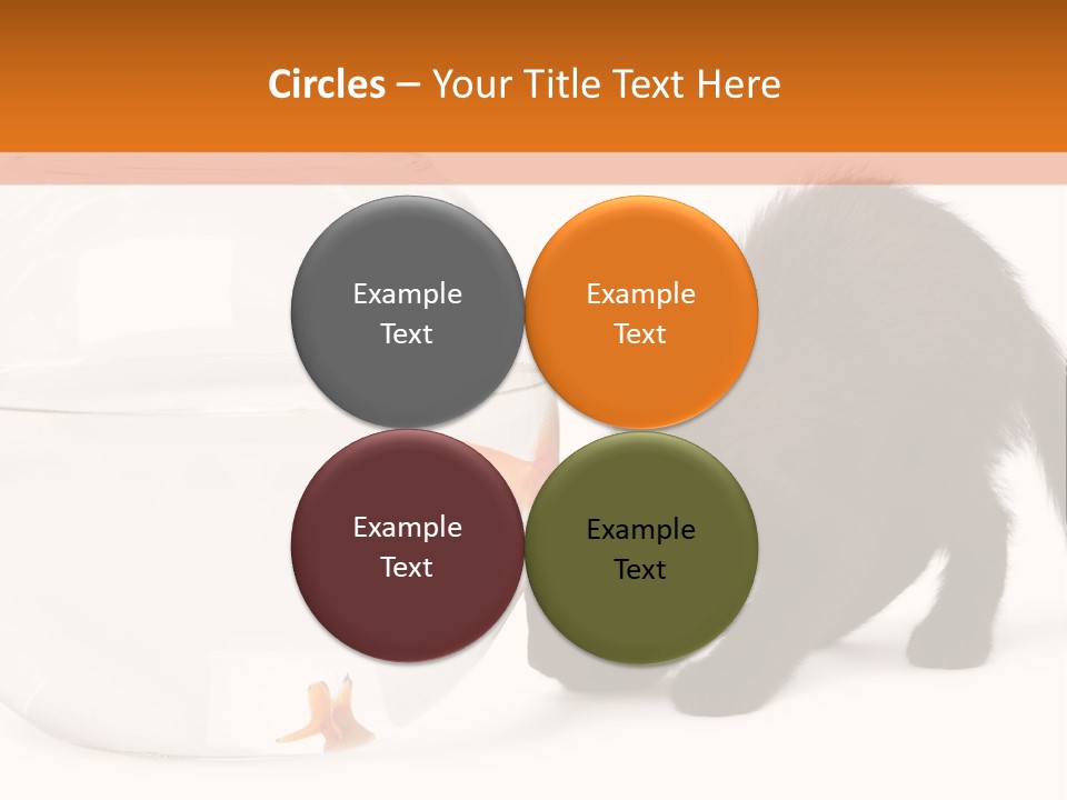 Bowl Feline Mammal PowerPoint Template