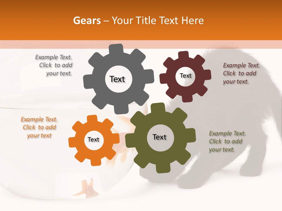 Bowl Feline Mammal PowerPoint Template