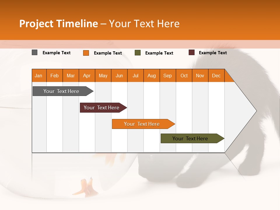 Bowl Feline Mammal PowerPoint Template