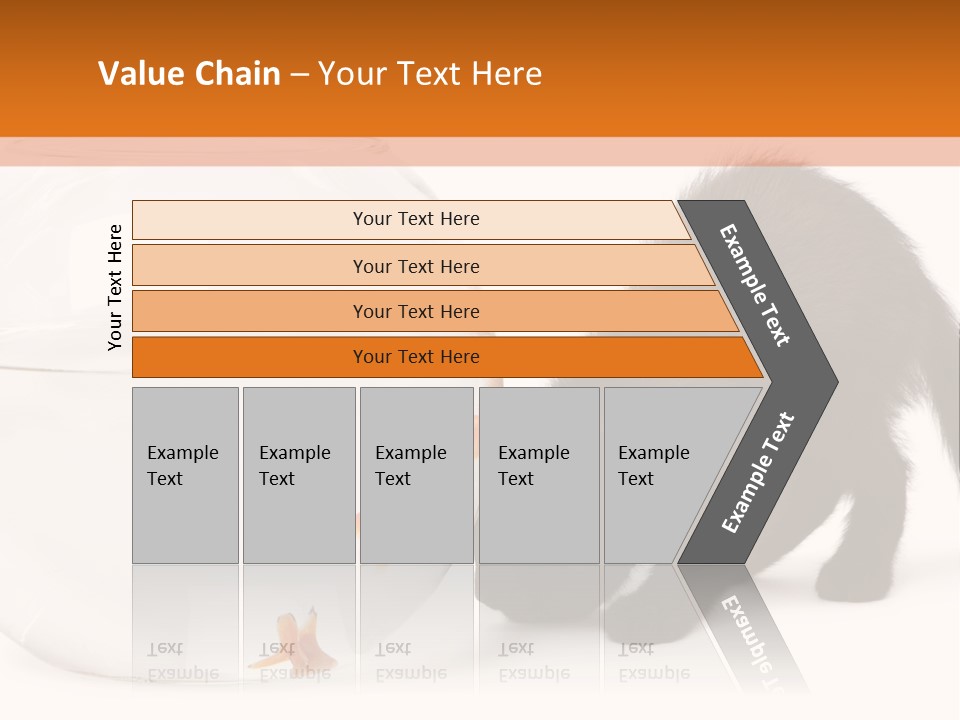 Bowl Feline Mammal PowerPoint Template