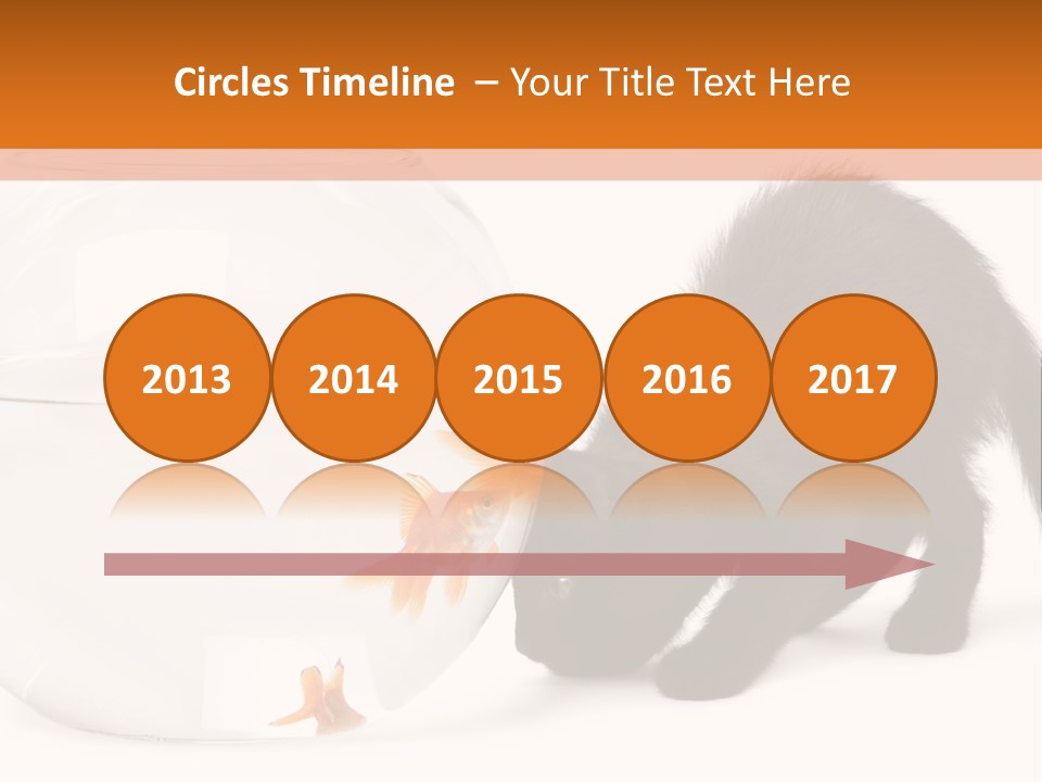 Bowl Feline Mammal PowerPoint Template