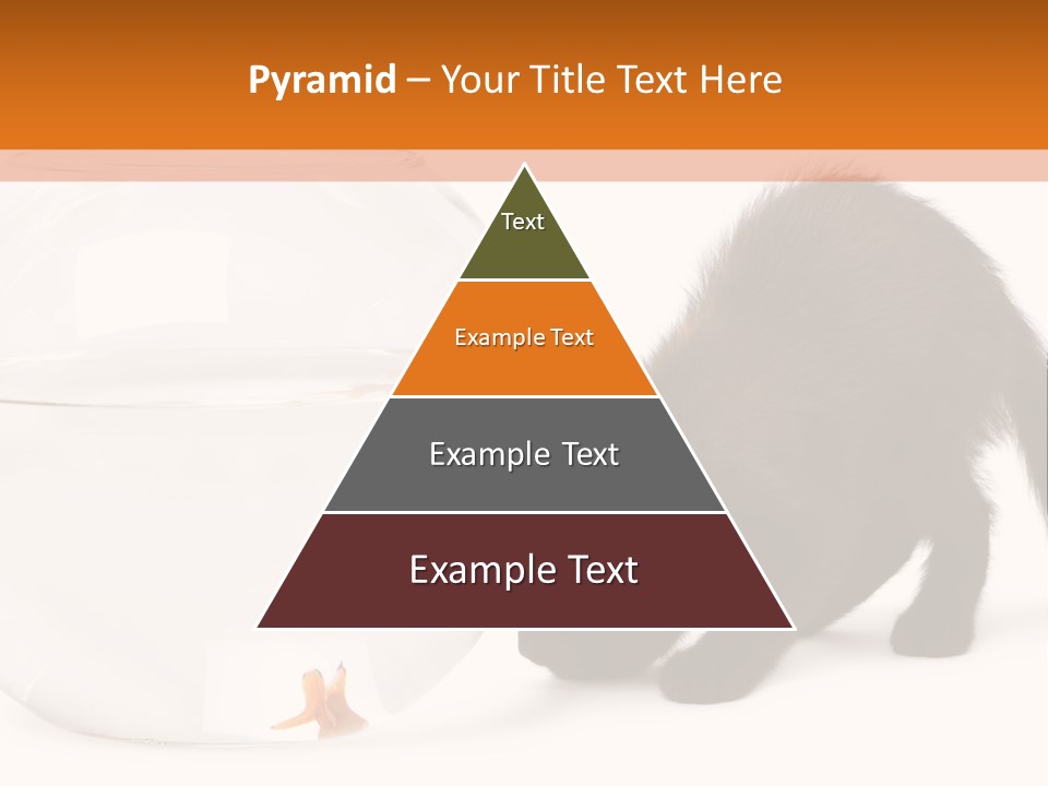 Bowl Feline Mammal PowerPoint Template