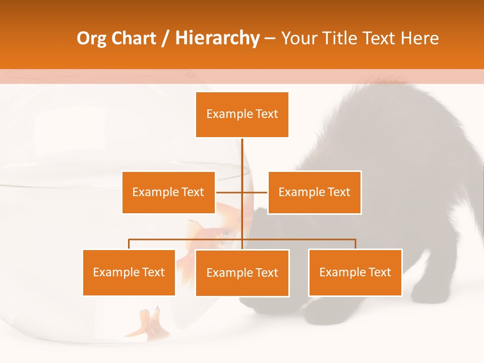 Bowl Feline Mammal PowerPoint Template