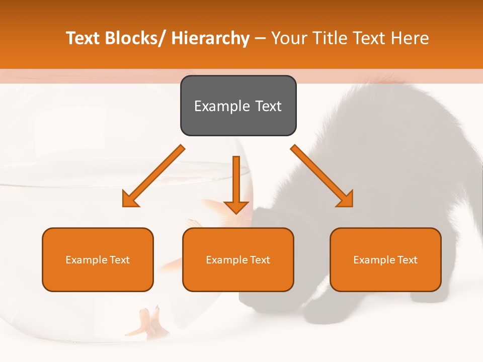Bowl Feline Mammal PowerPoint Template