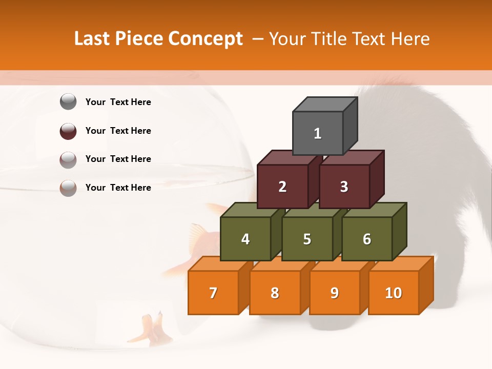 Bowl Feline Mammal PowerPoint Template