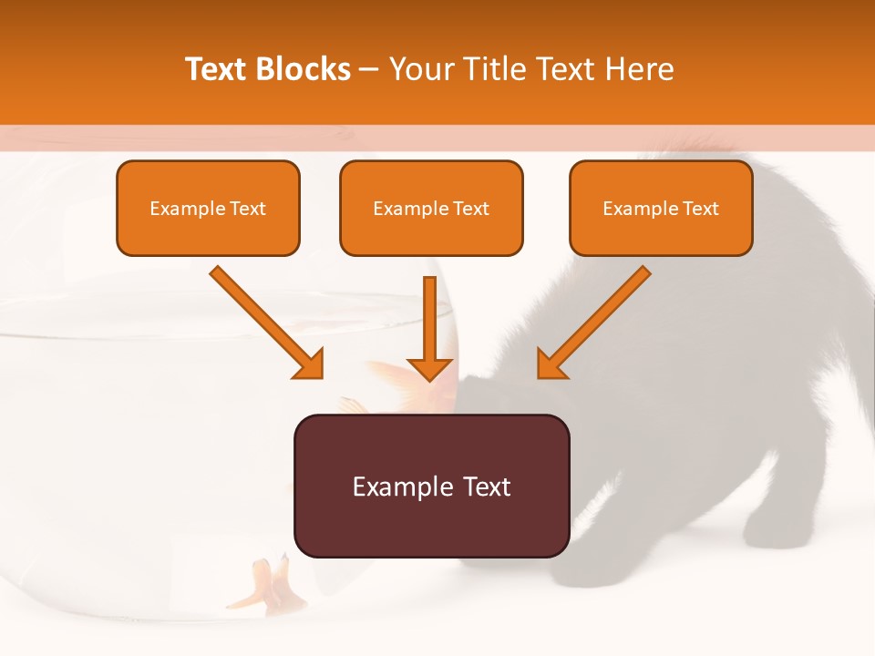 Bowl Feline Mammal PowerPoint Template