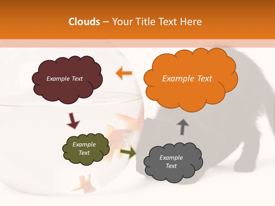 Bowl Feline Mammal PowerPoint Template