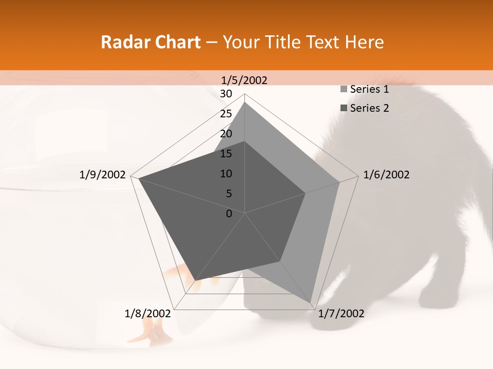 Bowl Feline Mammal PowerPoint Template