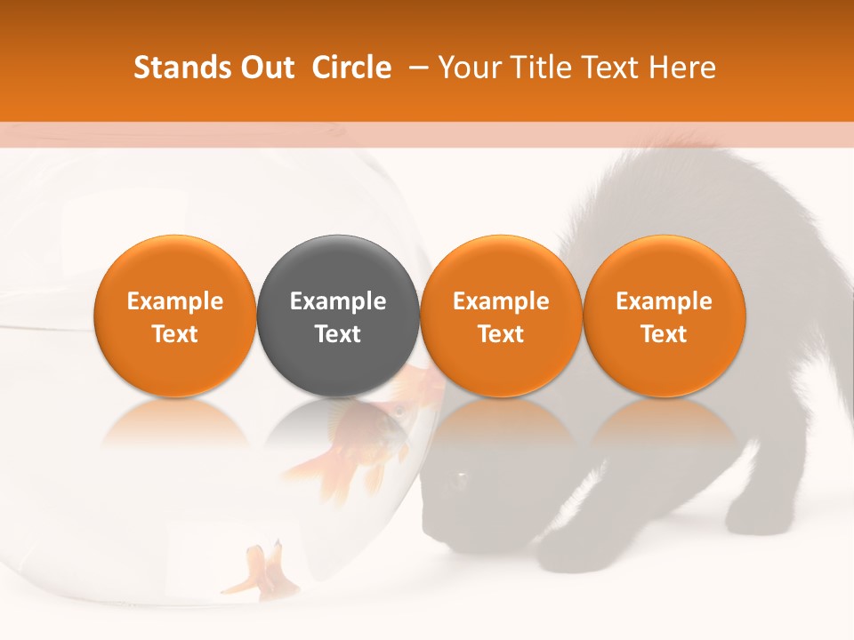 Bowl Feline Mammal PowerPoint Template