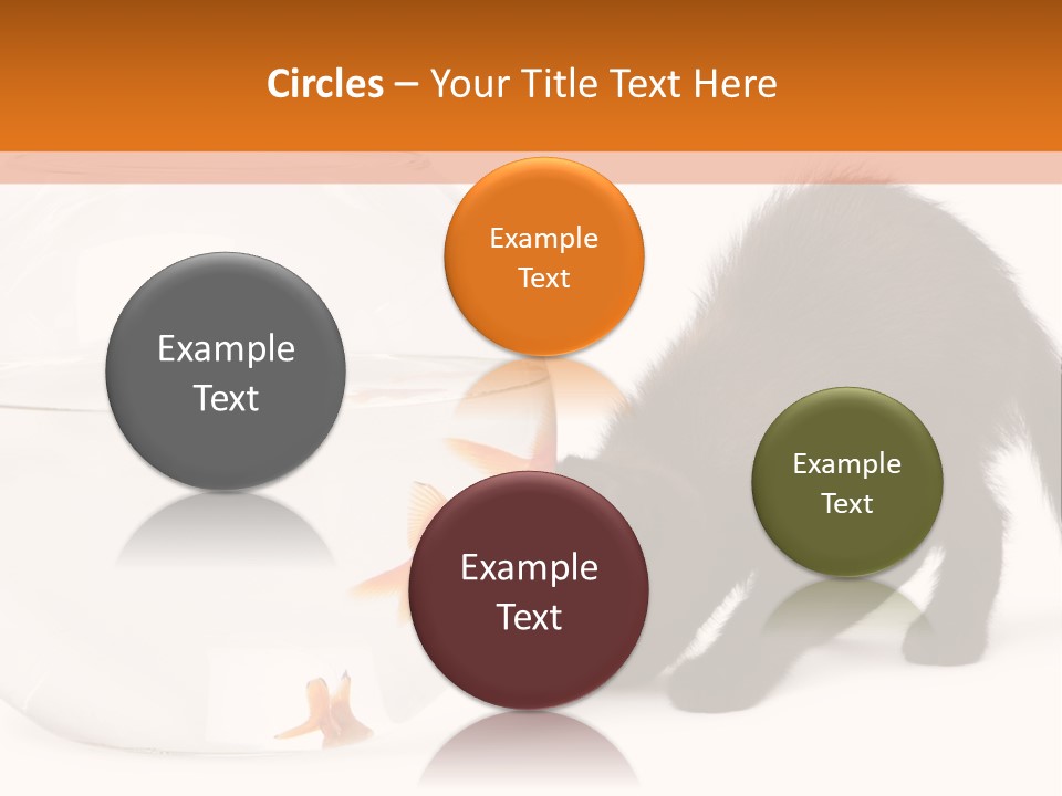 Bowl Feline Mammal PowerPoint Template