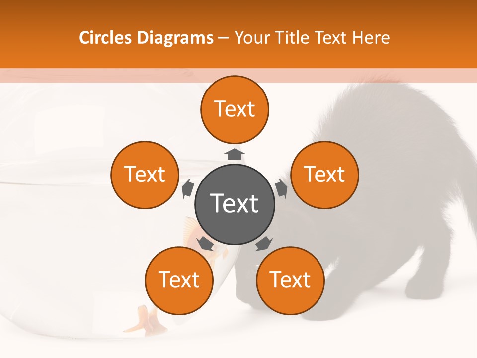 Bowl Feline Mammal PowerPoint Template