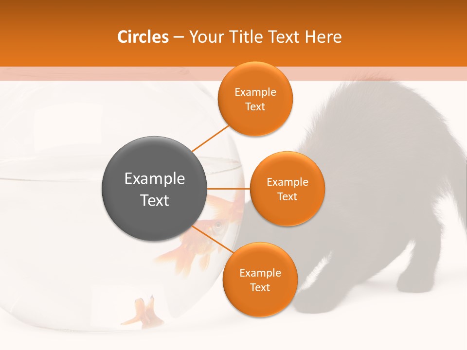 Bowl Feline Mammal PowerPoint Template