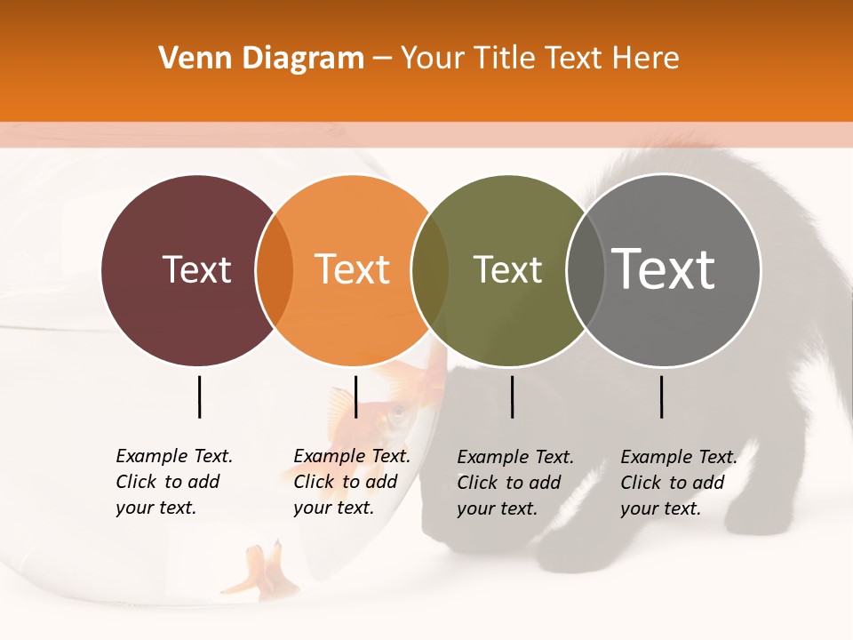 Bowl Feline Mammal PowerPoint Template