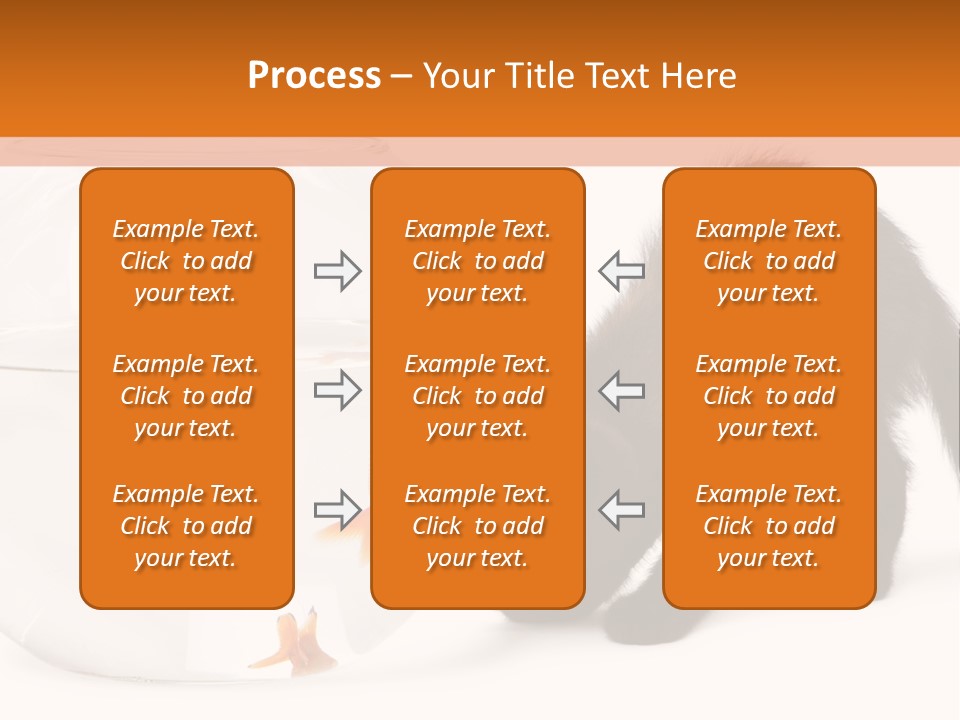 Bowl Feline Mammal PowerPoint Template