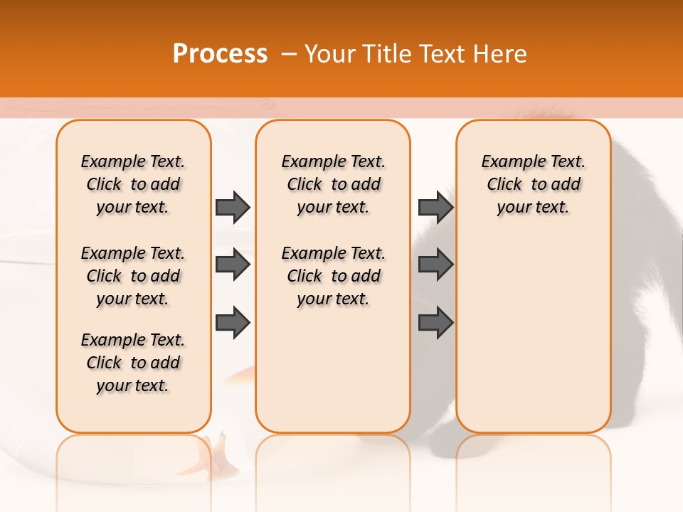 Bowl Feline Mammal PowerPoint Template
