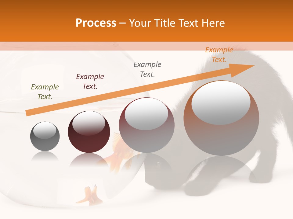 Bowl Feline Mammal PowerPoint Template