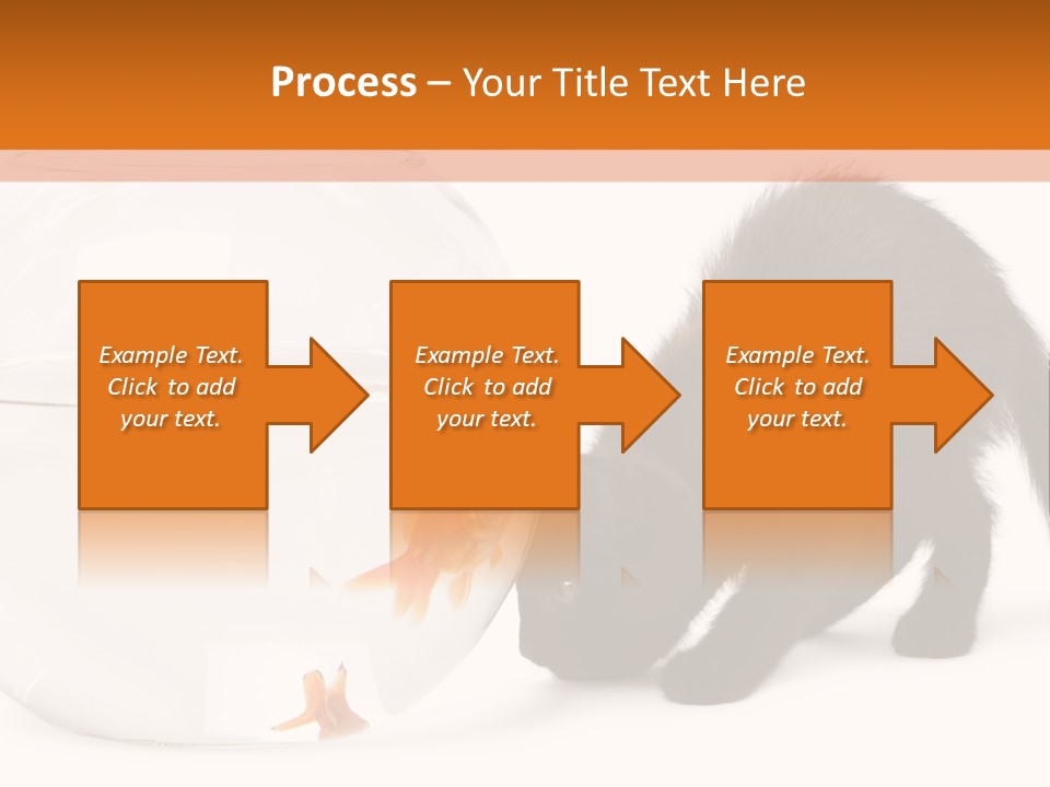Bowl Feline Mammal PowerPoint Template