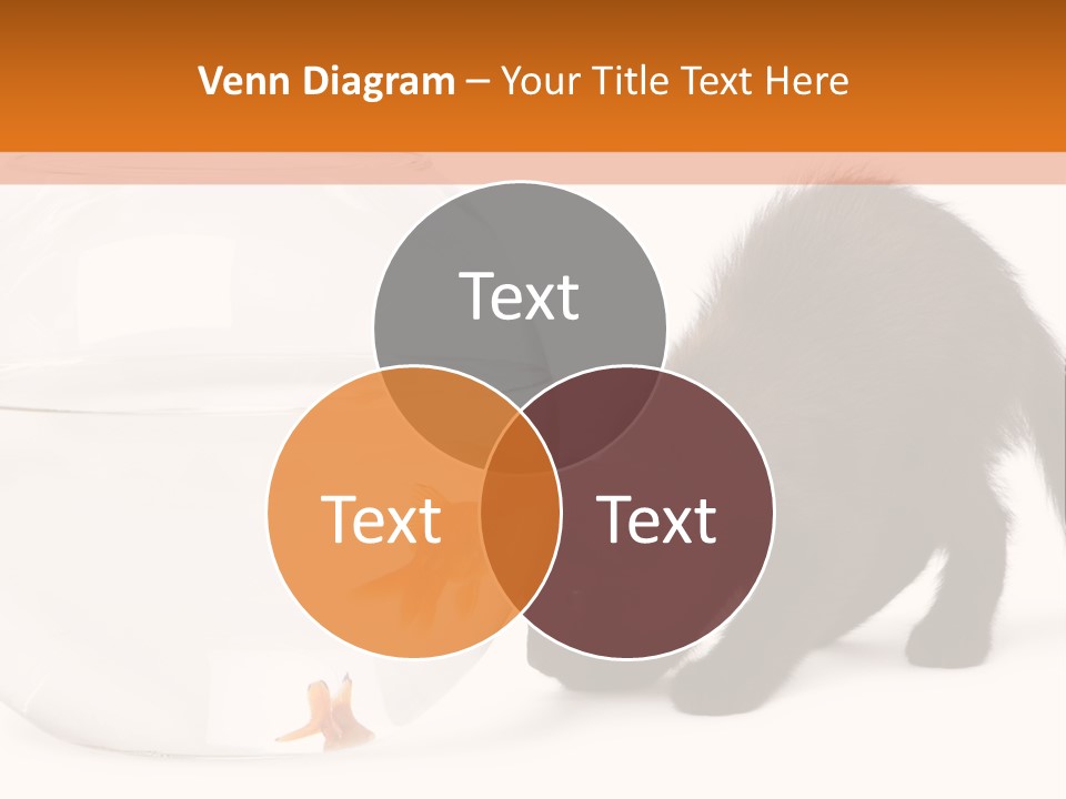 Bowl Feline Mammal PowerPoint Template