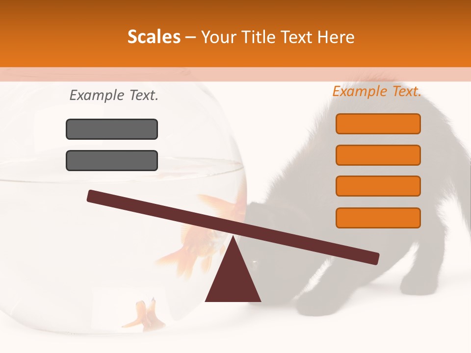 Bowl Feline Mammal PowerPoint Template