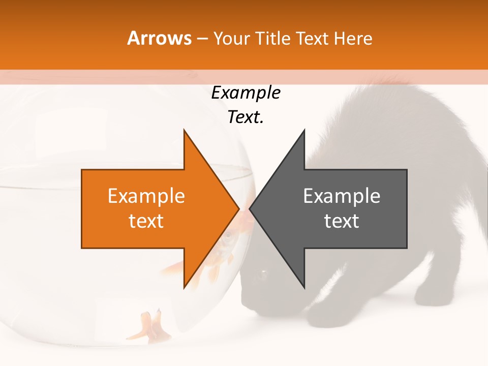 Bowl Feline Mammal PowerPoint Template