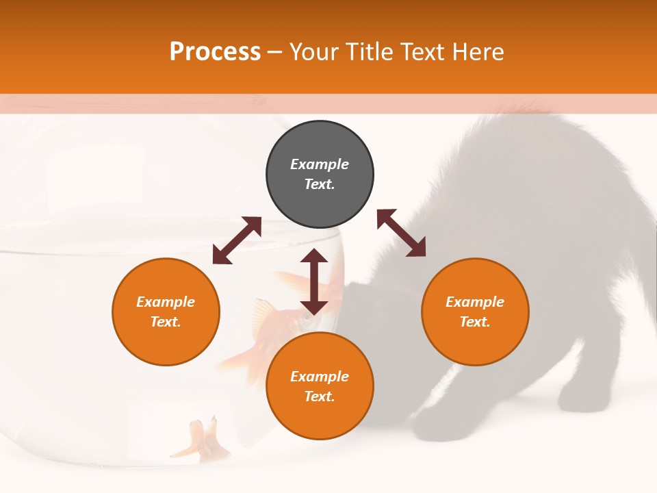 Bowl Feline Mammal PowerPoint Template