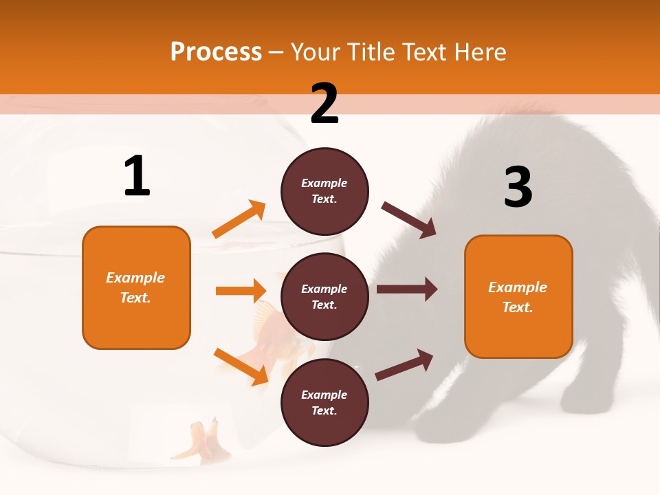 Bowl Feline Mammal PowerPoint Template