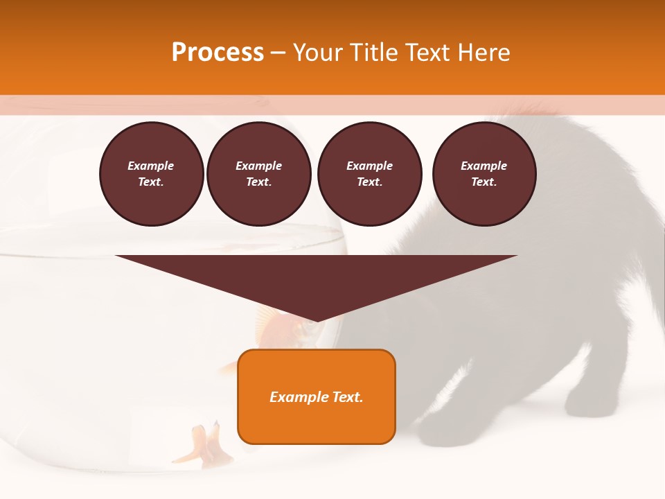 Bowl Feline Mammal PowerPoint Template