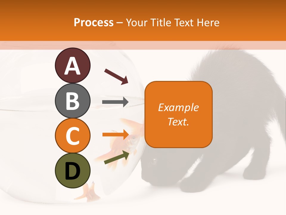 Bowl Feline Mammal PowerPoint Template