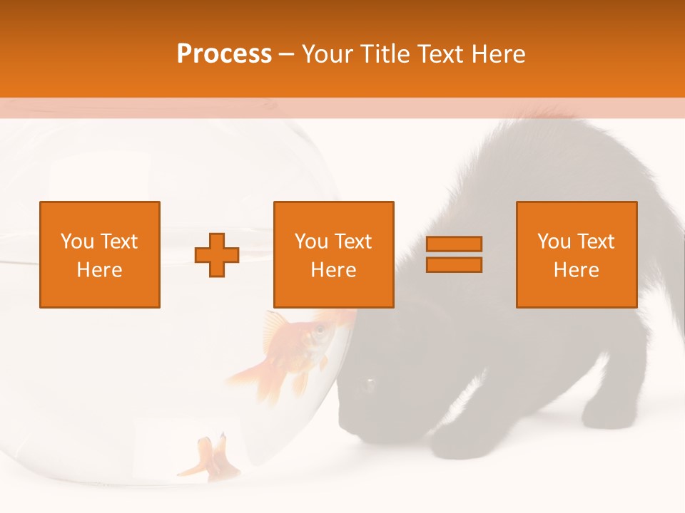 Bowl Feline Mammal PowerPoint Template