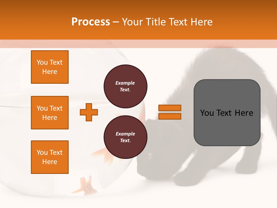 Bowl Feline Mammal PowerPoint Template